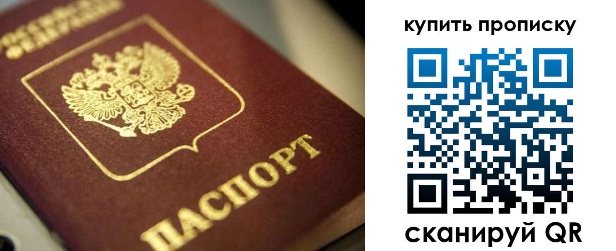 прописка поиск в России